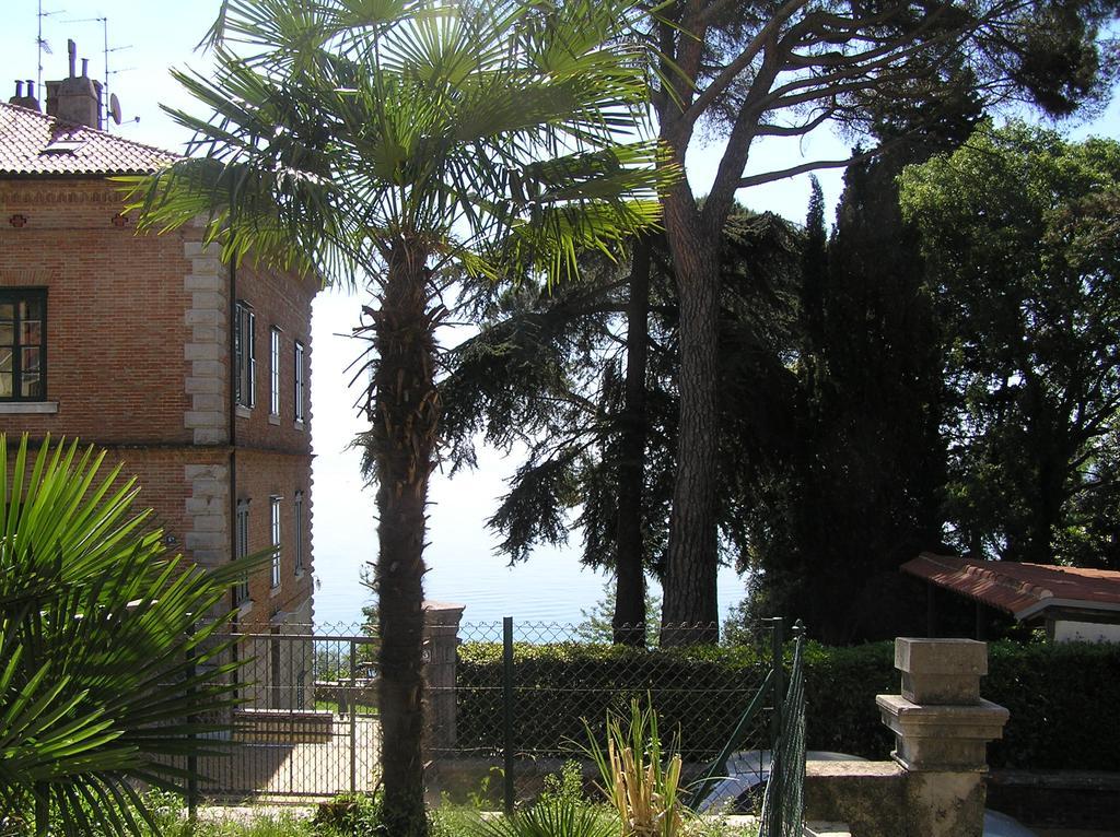 Studio Mir